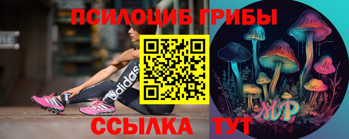 Галлюциногенные грибы Cubensis  Галлюциногенные грибы GOLDEN TEACHER  Балтийск  Вход с VPN 